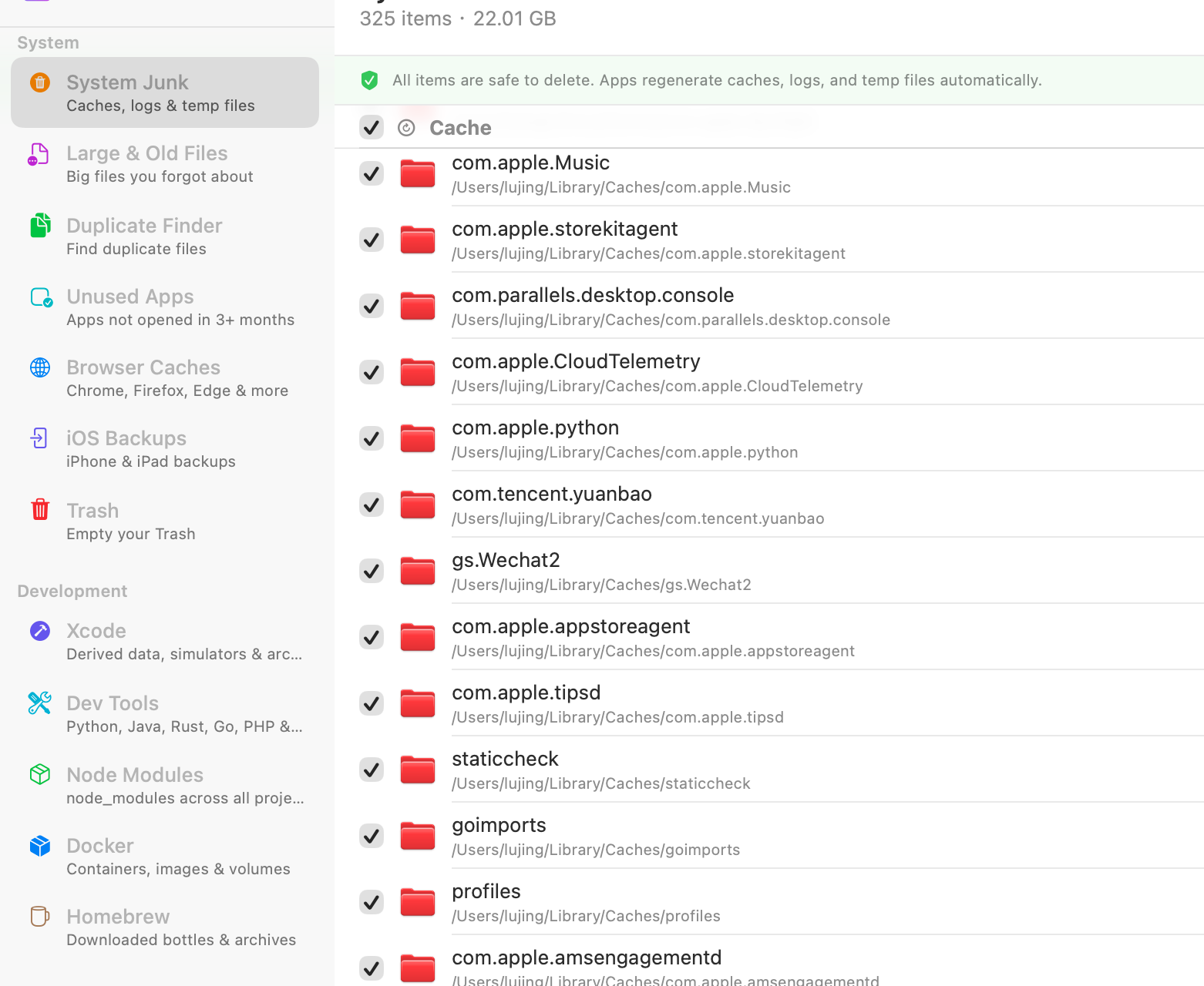 Mac Cleaner app showing System Junk scan results with 22 GB found